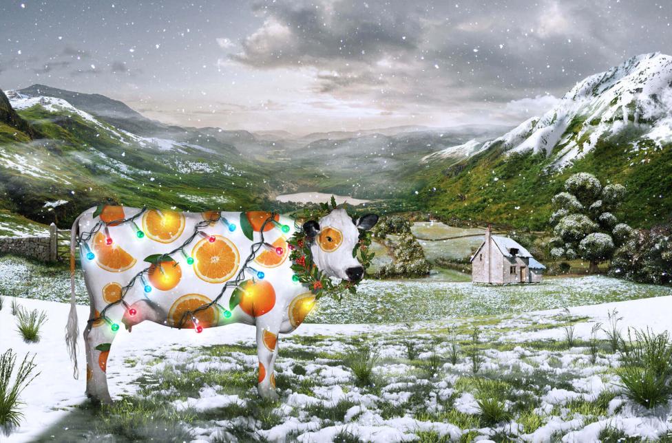 Seasonal JuceCow