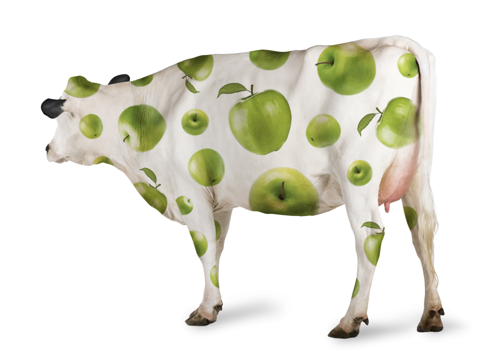 Juce Cow Apple Back